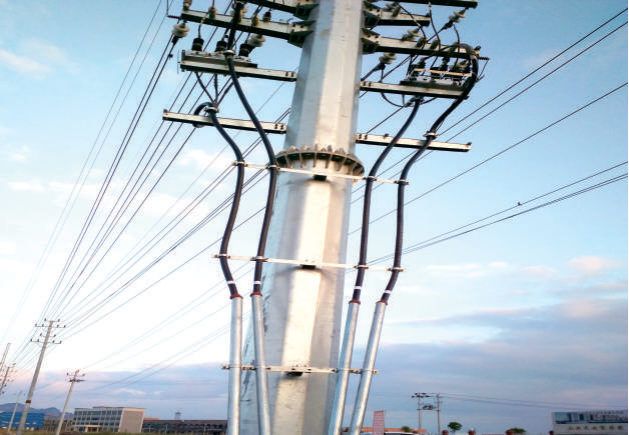 Power distribution lines and pole